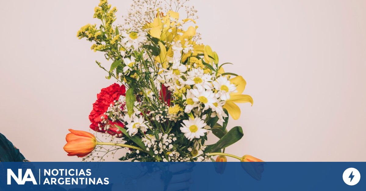 Día de la primavera: qué significado tienen las flores que se regalan