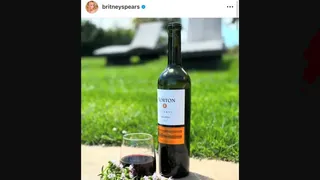 ¿Cuál es y cómo comprar el vino argentino que tomó Britney Spears?